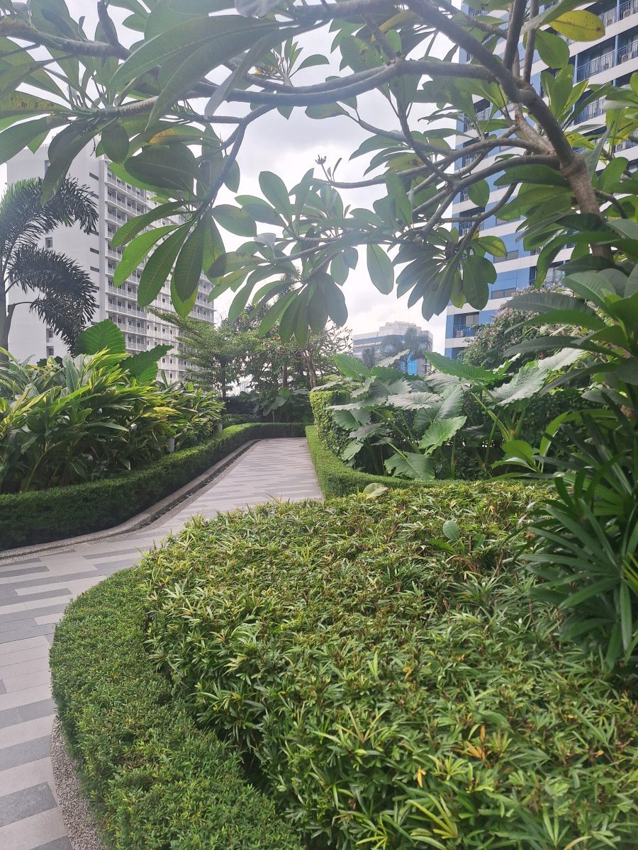 Pascazo staycation